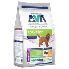 AVA Breed Health Cocker