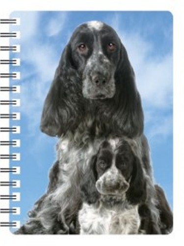Cocker spaniel with - with, 3d