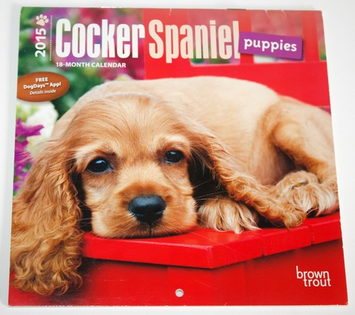 Cocker spaniel mini calendar - cocker,