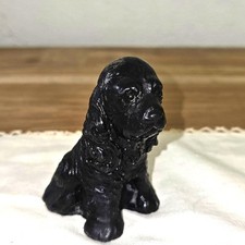 Black Cocker Spaniel Dog