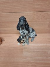 Country Artists cocker Spaniel