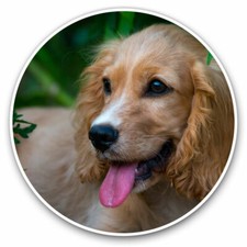 2 x Vinyl Stickers 10cm -