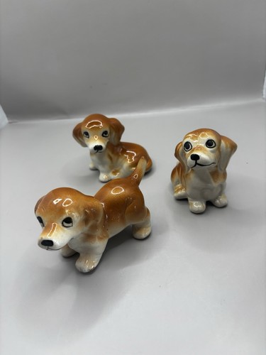 Realistic cocker spaniel puppy - realistic,