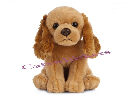 Sitting cocker spaniel puppy - spaniel,