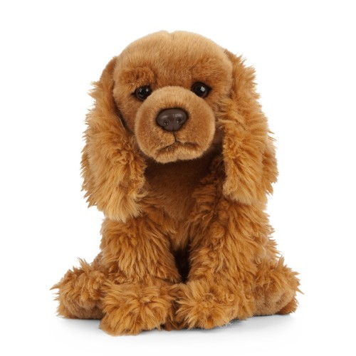 Sitting cocker spaniel - sitting, puppy