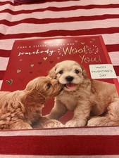 Cocker Spaniel Puppies