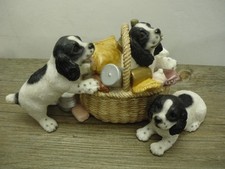 3 Cocker Springer Spaniel