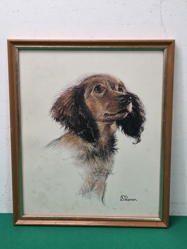 Framed cocker spaniel puppy - spaniel,