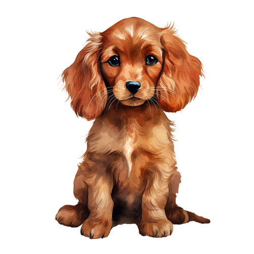 Cocker spaniel puppy fur baby - spaniel,