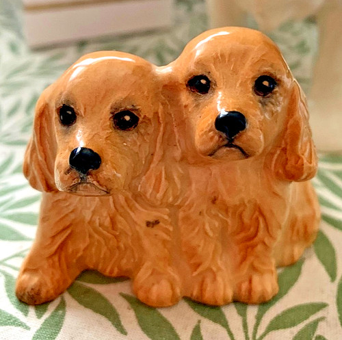 Beswick spaniel puppies - beswick,