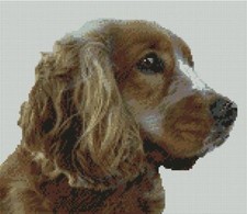 Cocker Spaniel Dog Puppy