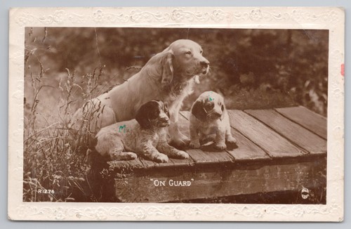 Vintage postcard guard - on,