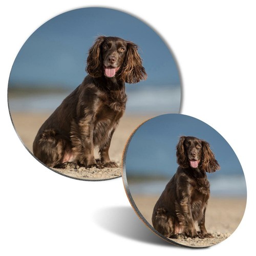 Mouse mat coaster set - mouse, &