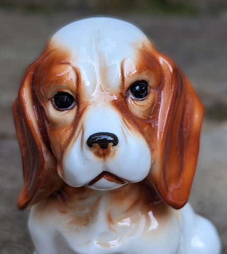 Vintage cocker spaniel - vintage, puppy